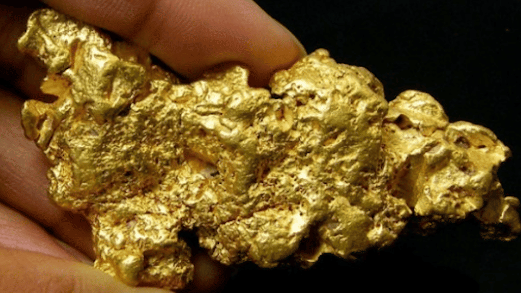 Gold nugget hunting with a gold detector