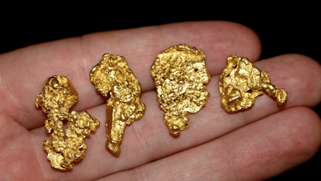 Metal detecting for gold nuggets